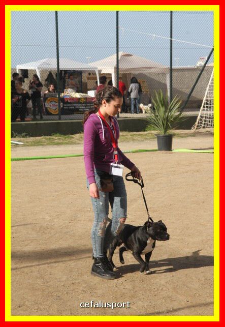 180311 mostra_canina 191.jpg